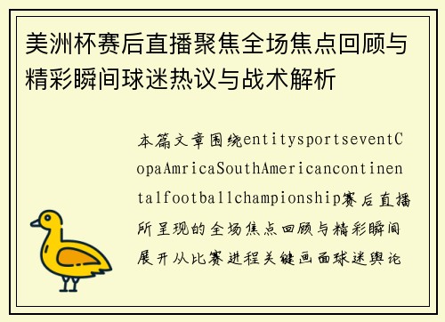 美洲杯赛后直播聚焦全场焦点回顾与精彩瞬间球迷热议与战术解析